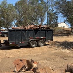 Firewood 