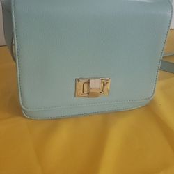 Like New Cute Sea Green Purse