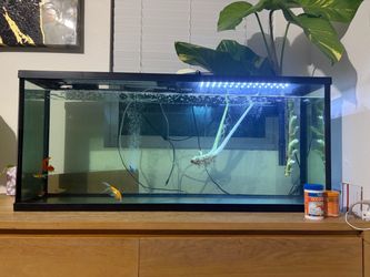 Fish Tank comes with it’s Accessories