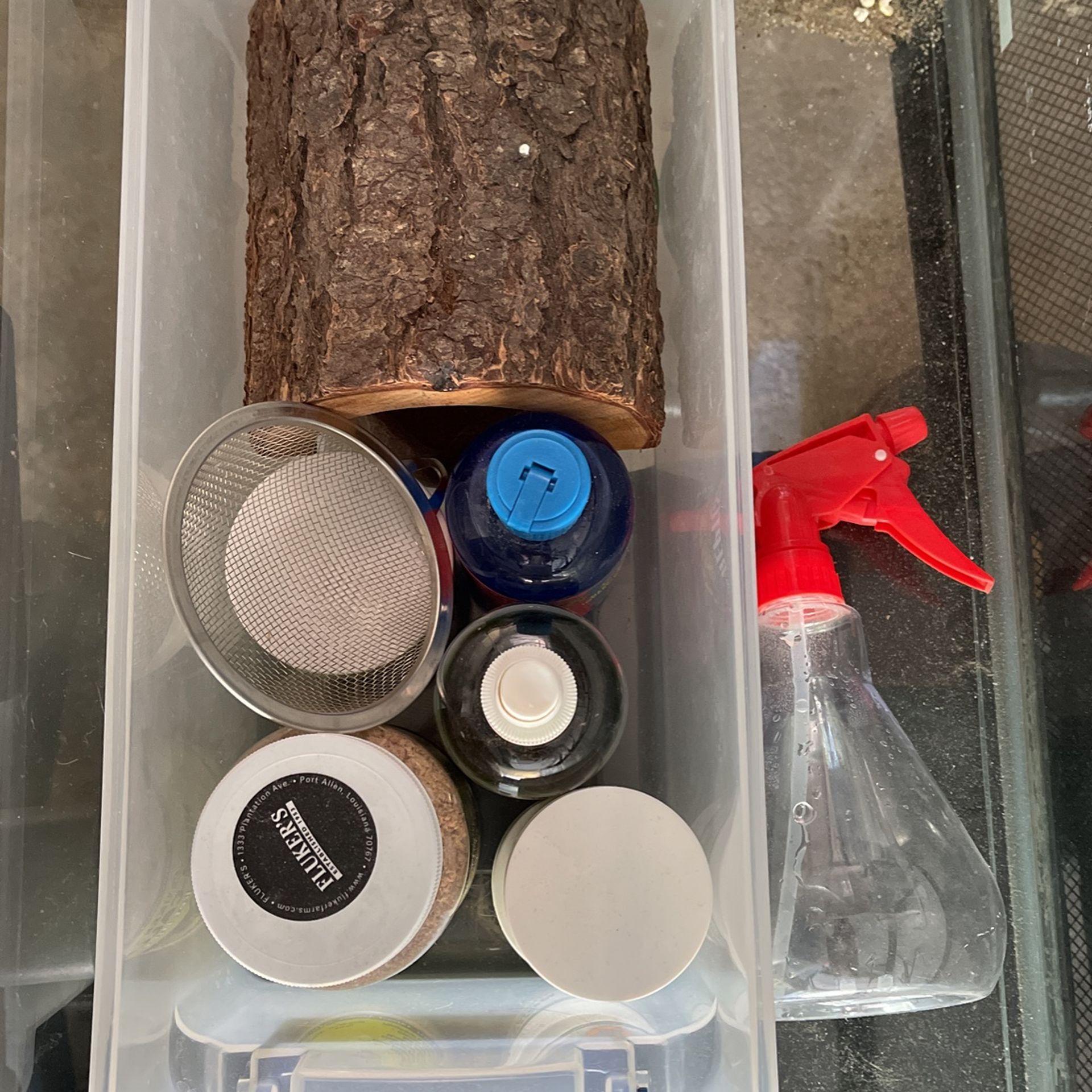 Lizard Tank