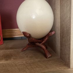 Ostrich Egg