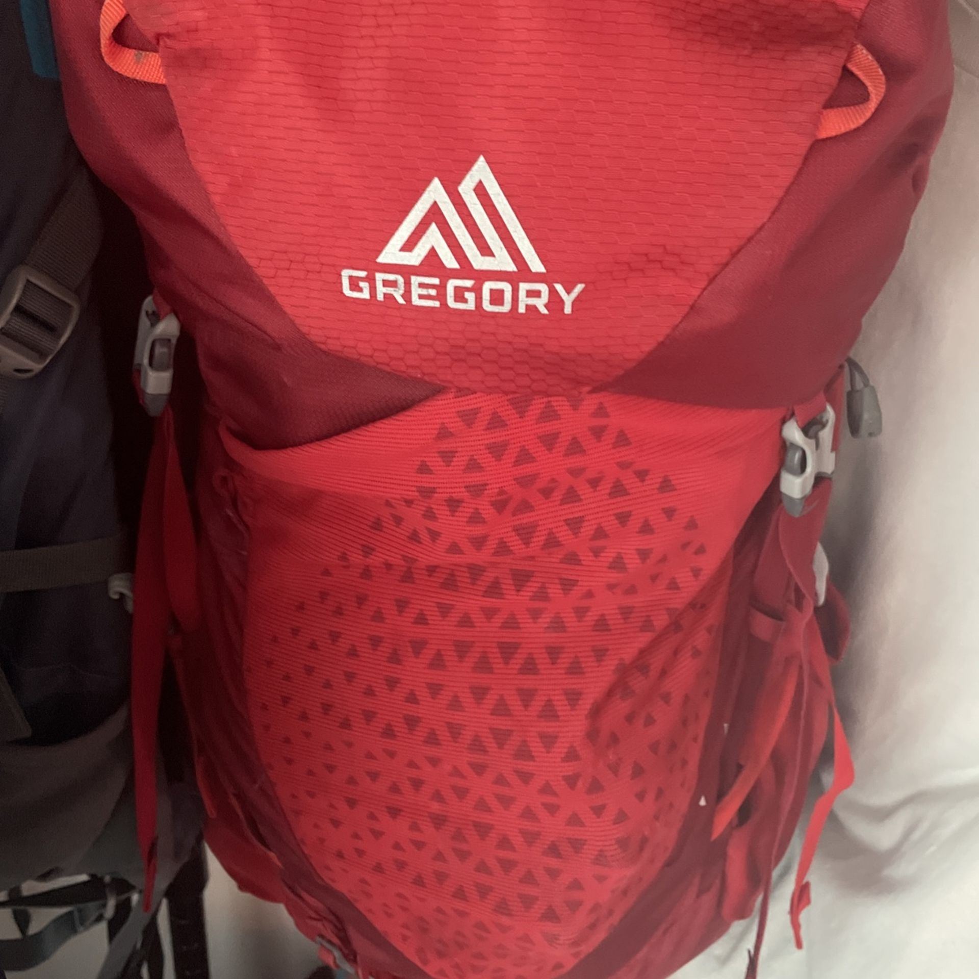 Gregory Backpack