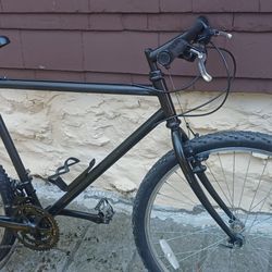 Bicycle 25