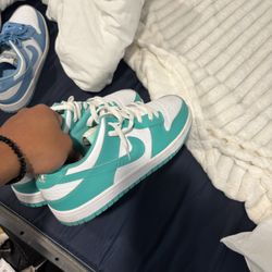 Nike Dunks Men Size 11