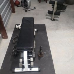 Weight Bench 