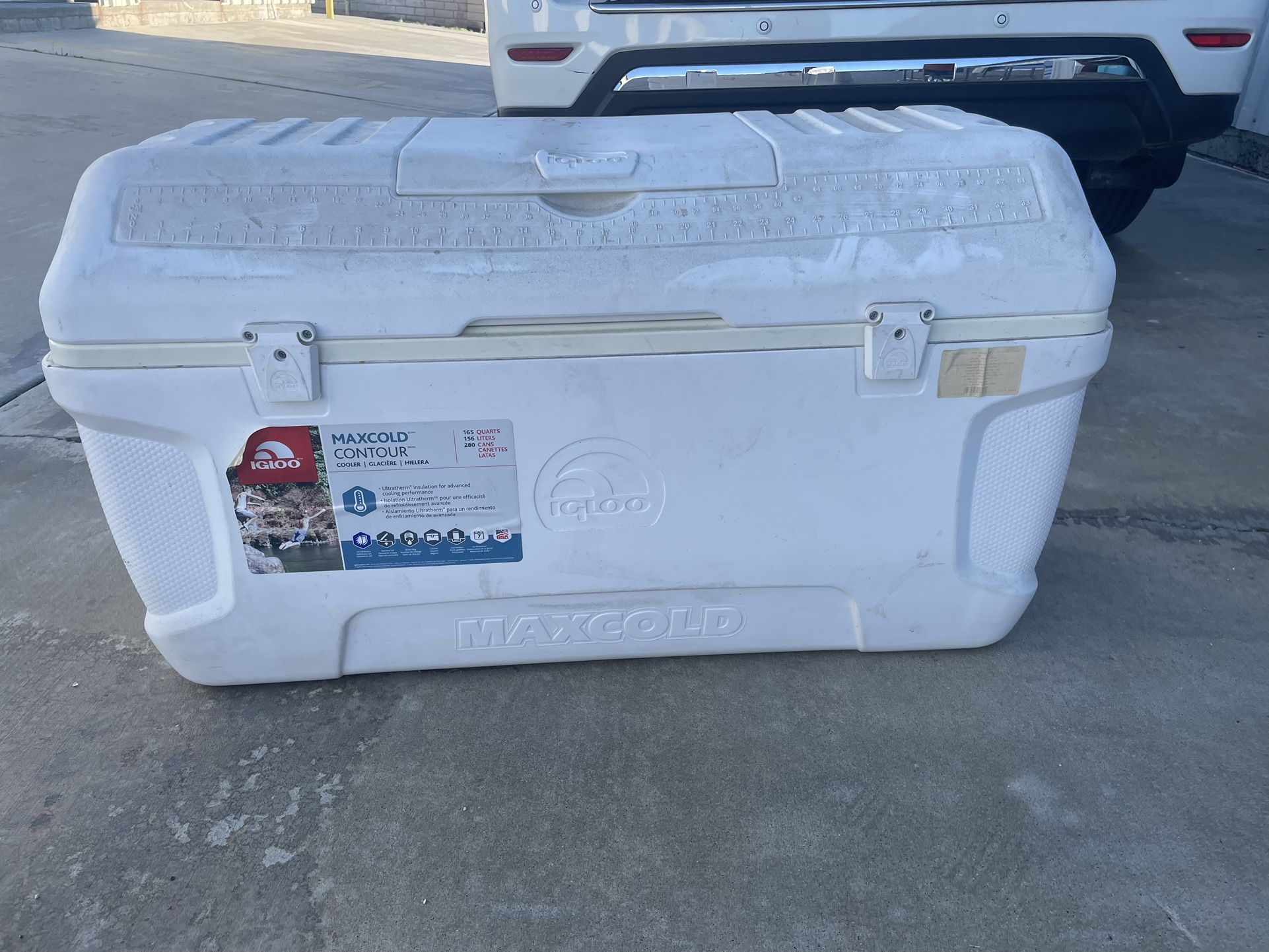 Large Igloo Maxicold Contour Cooler