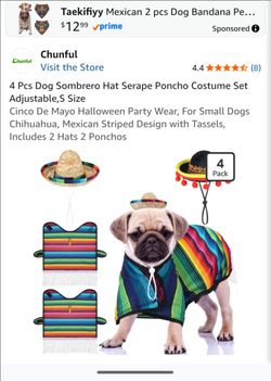 Mexican Sombrero pup costume