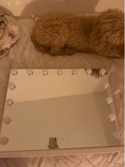 Vanity Mirror (Perfect condition & lights up)