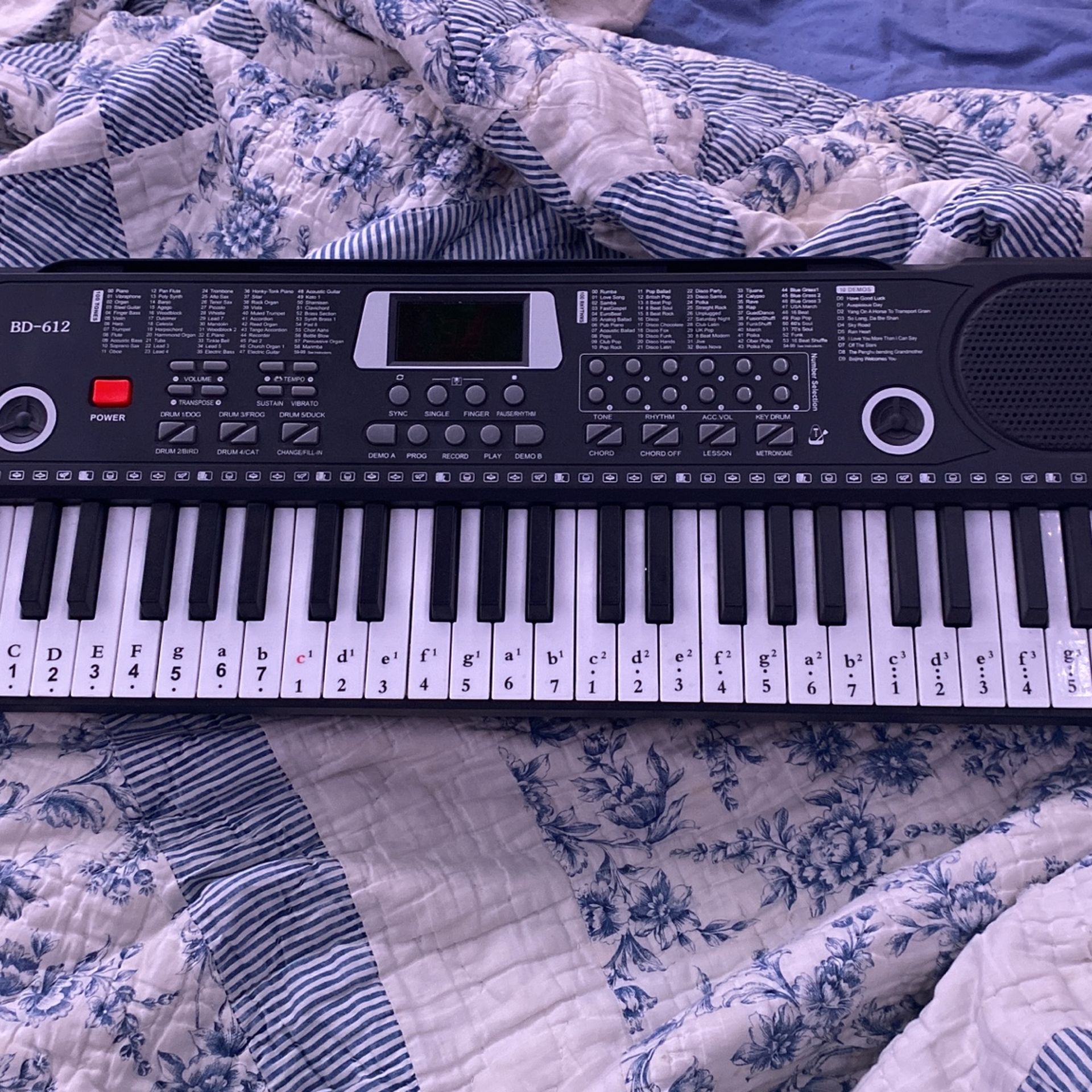 Keyboard piano with learners guide!š¹
