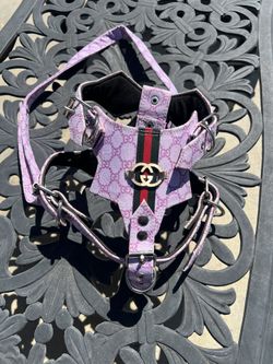 High-End Leather Harness