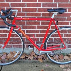 Specialized Allez road bike vintage 90s model bicycle for Sale in