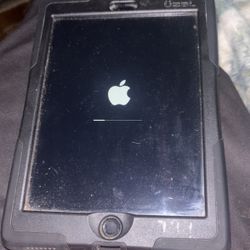 iPad Mini 3