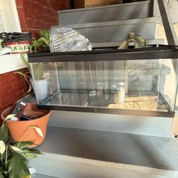 40 gallon tank