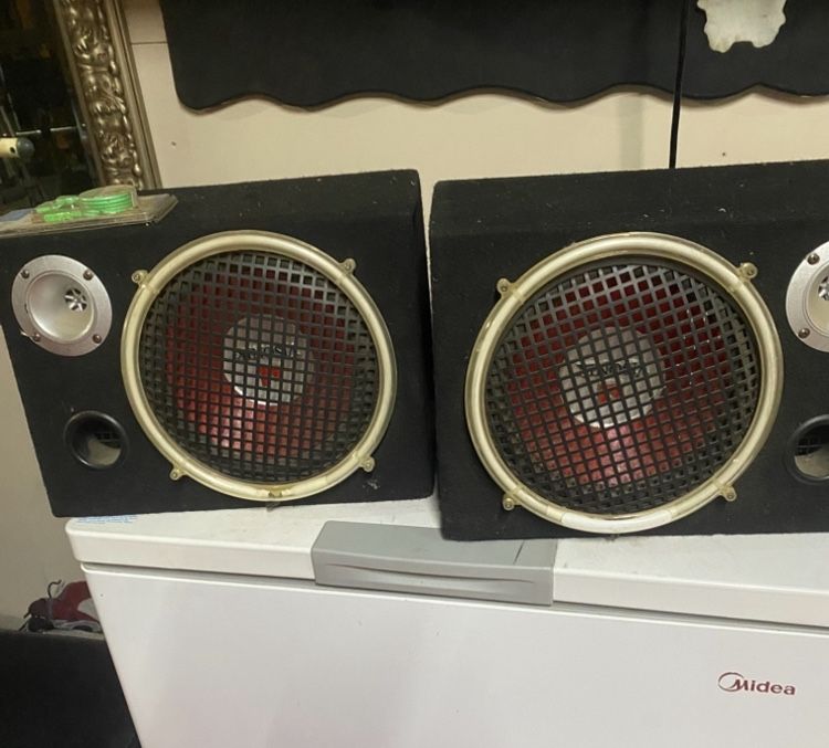 10 inch speakers Walmart brand they work real good