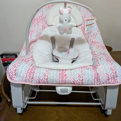 Baby Bouncer & Rocker Chair