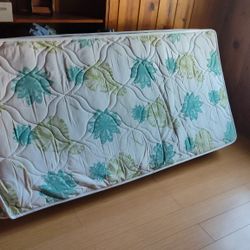 Free Clean Twin Size By Appointment Only First Come First Serve