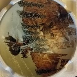 MINT CONDITION Canyon Of The Cat