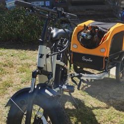 Trekcraze Folable Ebike Fat Tires