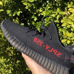 Yeezy Bred Size 9
