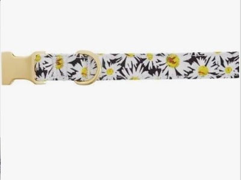 Lot # 2009: Top paw nylon collar. 4 ct. daisy design.
