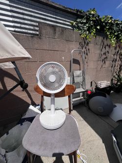 Fan
