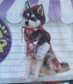 Dog Costume (Red Riding Hood)