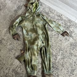 18 months-2T Dragon costume