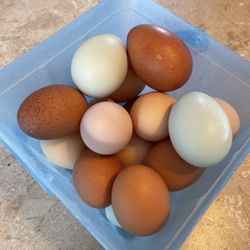 Fresh Eggs In Milwaukie. 