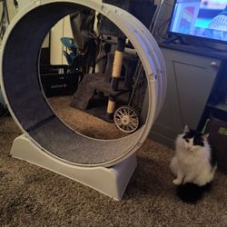 Cat Exercise Wheel 
