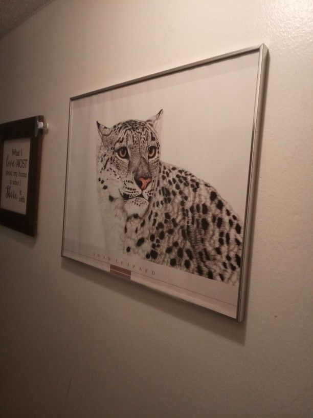 Snow Leopard Art In Frame