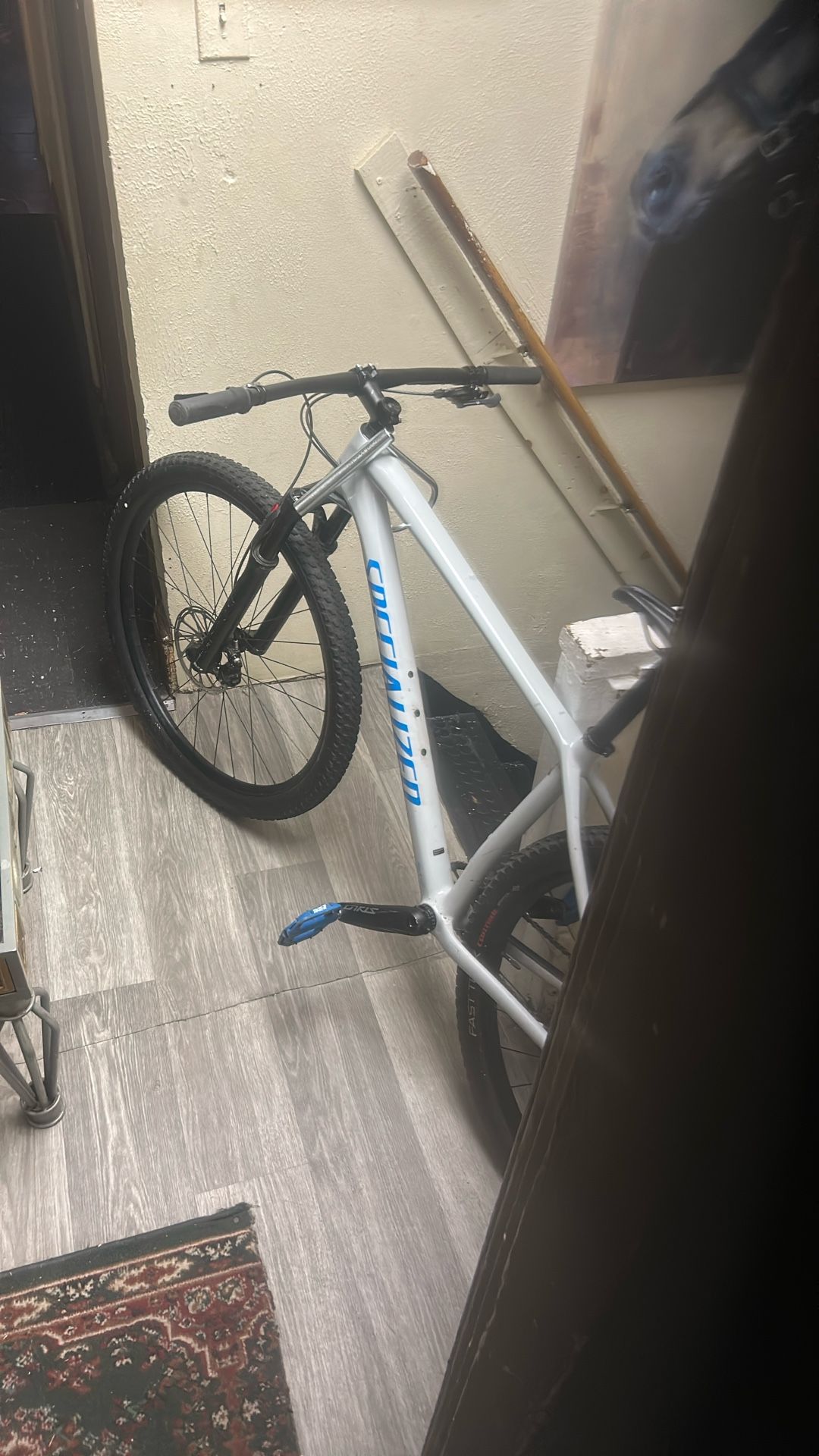 Specialized Bike