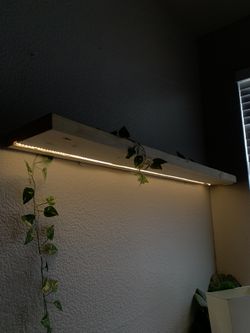 Floating Shelf Led