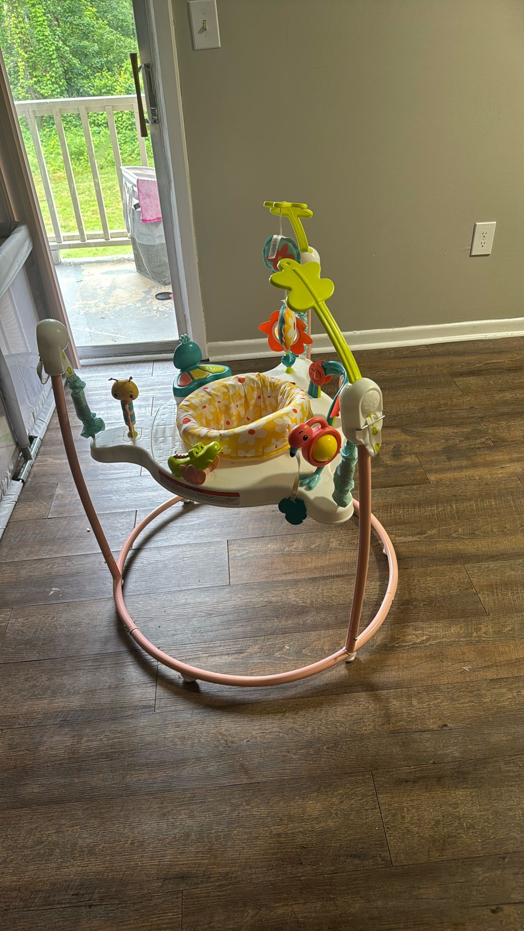 Baby Jumper Fisher Price