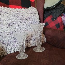 Chrystal Flower Vases