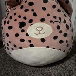 Xl Cheetah Squishmallow 