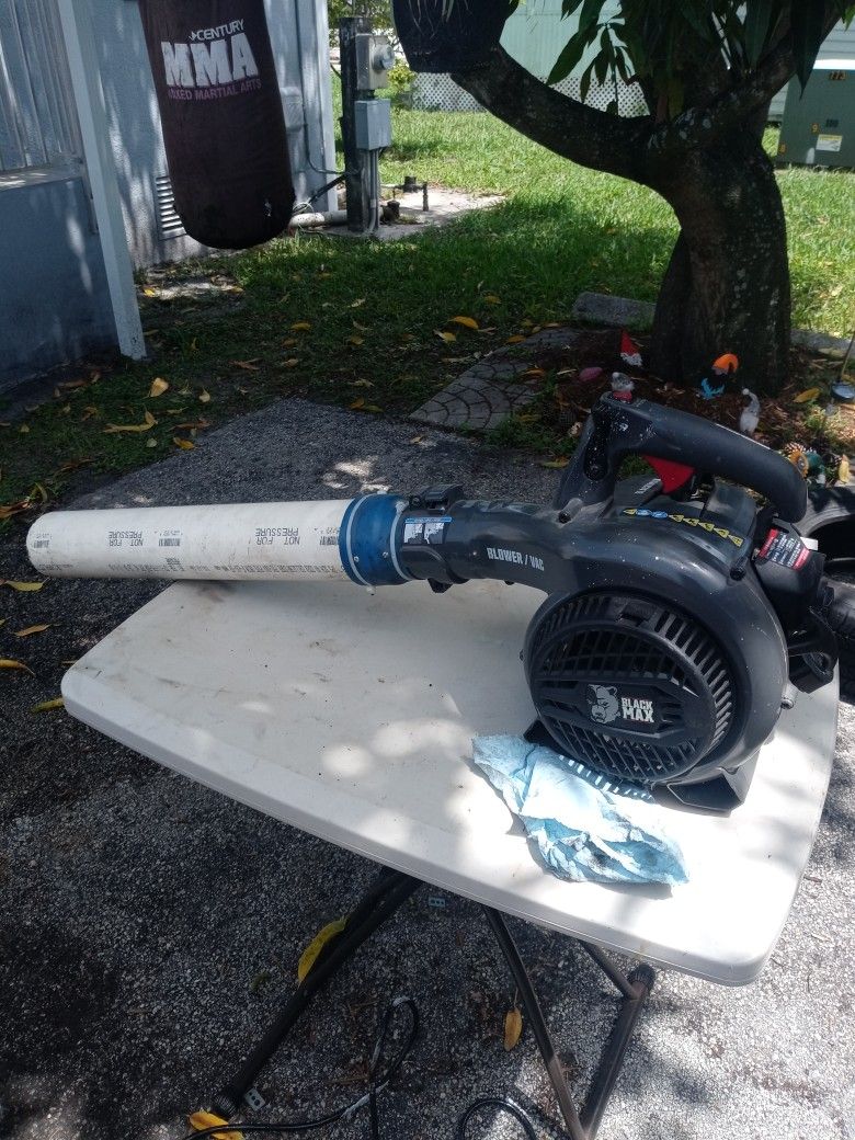 Black Max Leaf Blower