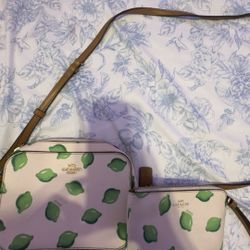 Coach lime print canvas and details set