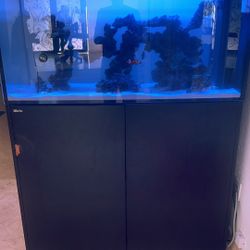 Red Sea 500 Península Salt Water Aquarium 