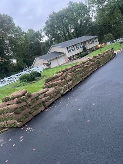 Fresh sod cut every morning