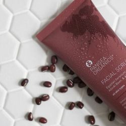 Pangea Organics Facial Scrub Egyptian Geranium, Adzuki Bean, Cranberry Brand New