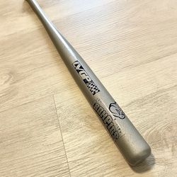 Lehigh Valley Iron Pigs Mini Baseball Bat
