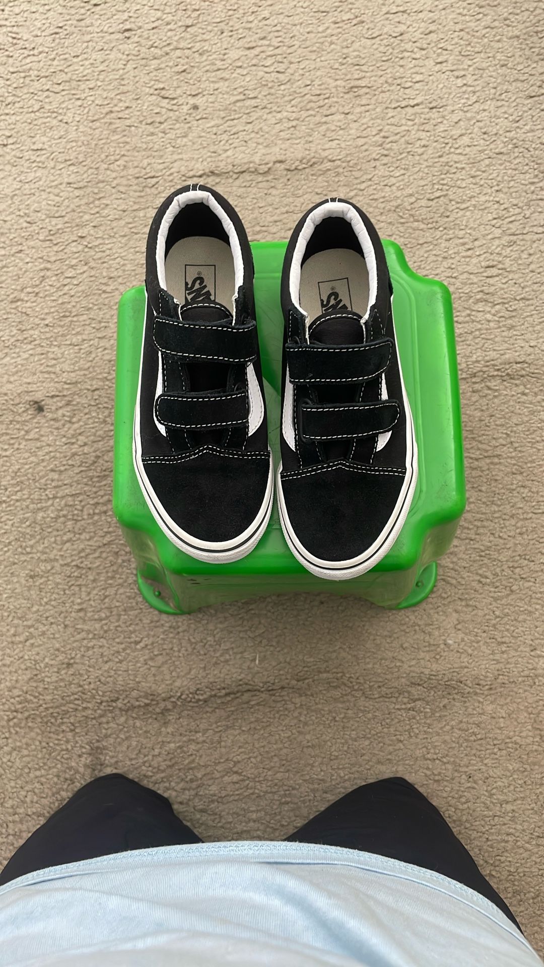 Vans Shoe.
