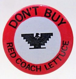 Vintage LABOR Union pin Farm Worker Don't buy Red Coach LETTUCE