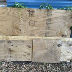 Free Plywood Pieces