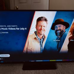 50"  TV Visio