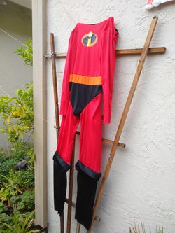 Halloween Costume Incredibles