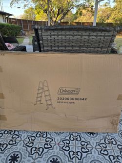 Above ground pool ladder