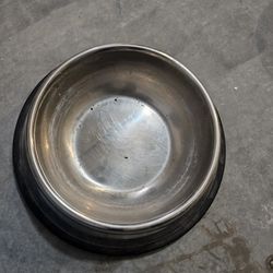 Pet Dish