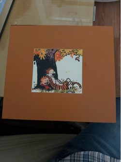 Calvin and Hobbes Complete Set