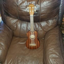 Small Ukelele 